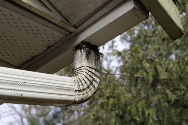 Cost of Roof Drain Replacement in South Lyon