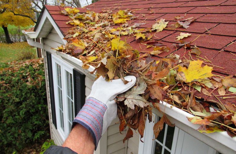 Gutter Maintenance in South Lyon
